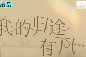 《此时有子不如无》短剧在线观看，靠近我别离开，一场心灵深处的缠绵之旅（60集）短剧在线观看，靠近我离开我短剧在线观看