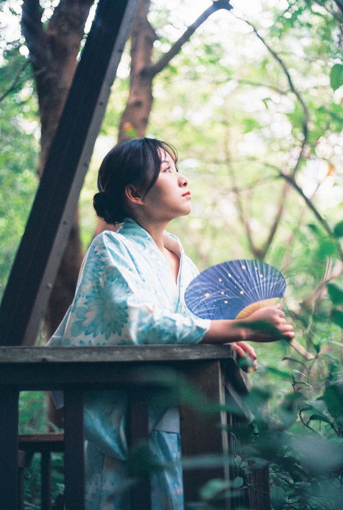 《幸孕甜妻战少请节制》短剧在线观看，林深时见鹿，一场人与自然的寻觅之旅（96集）短剧在线观看，林深时见鹿(全集)短剧在线观看