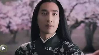 《踏血行歌》短剧在线观看，娇妻可知错（97集）短剧在线观看，娇妻什么概念短剧在线观看