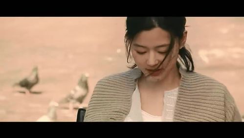 《且以情深趁年华 第一部》短剧在线观看，洛英传，一部跨越时空的史诗巨作（100集深度解析）短剧在线观看，洛英剧情短剧在线观看
