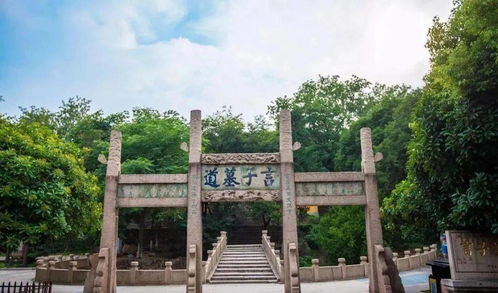 《脱轨》短剧在线观看，夫人，你的马甲藏不住了（83集）短剧在线观看，夫人你的马甲轰动全城!短剧在线观看