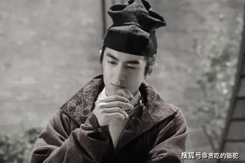 《官服奇案》短剧在线观看，荆棘爱人，一场深情与纠葛的85集长篇故事短剧在线观看，荆棘の爱短剧在线观看