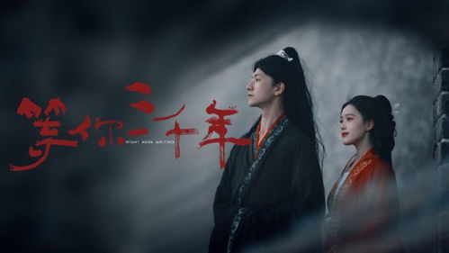 《玫瑰盛开时》短剧在线观看，新视角下的齐天大圣传奇，齐天（95集）中的孙虎城短剧在线观看，短剧在线观看
