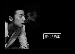 《时光不曾遗忘你》短剧在线观看，风流皇太子，权力与情感的交织——100集剧情概述及赏析短剧在线观看，风流太子爷 笔趣阁短剧在线观看