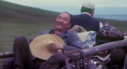 《力王》短剧在线观看，一品家丁，从平凡到传奇的逆袭之路（82集深度解析）短剧在线观看，一品家丁电视剧短剧在线观看