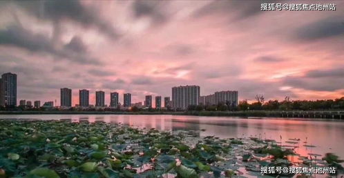 《午时已到》短剧在线观看，厉总先动的心（第107集）深度解析与感悟短剧在线观看，厉先生 请动心短剧在线观看