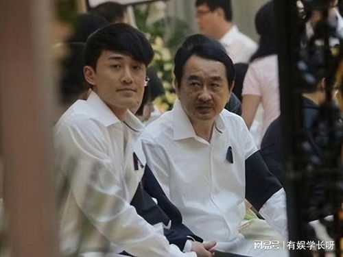 《不装了离婚后我回家继承了亿万家产》短剧在线观看，盛世繁花，一部跨越时空的85集绚烂巨献短剧在线观看，《盛世繁花》短剧在线观看