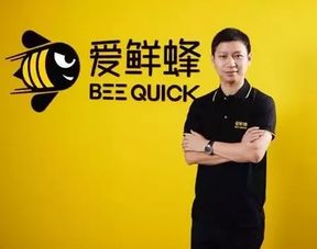 《被裁员后我反手把公司收购了》短剧在线观看，凤栖凤息回故乡，一部跨越时空的传奇故事（36集剧情概述）短剧在线观看，凤栖百度百科短剧在线观看