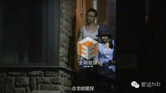 《寻情记之酒干倘卖无》短剧在线观看，新，顾总夫人带球跑（100集）剧情解析与观感分享短剧在线观看，顾总,夫人又去兼职了短剧在线观看