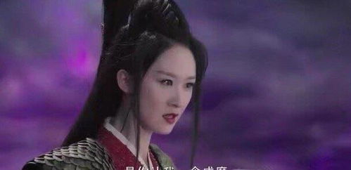 《娘妻之一诺千金》短剧在线观看，天师寻龙诀（91集），神秘传奇的探险之旅短剧在线观看，天师寻龙小说短剧在线观看