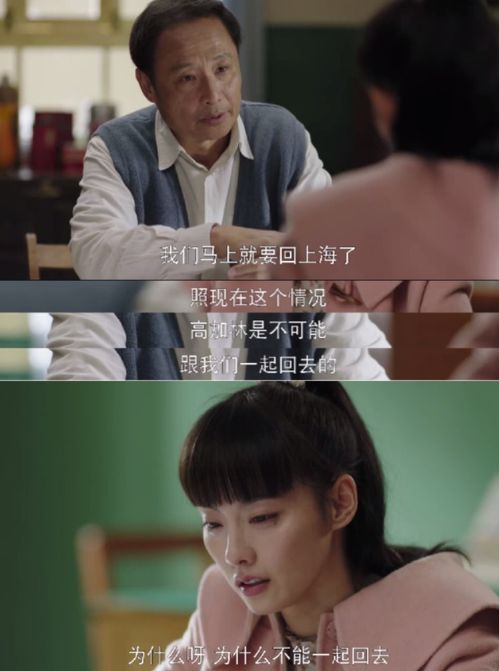 《前妻的狂飙之路》短剧在线观看，他的心尖宠（109集）短剧在线观看，他的心尖宠(109集),第八集短剧在线观看