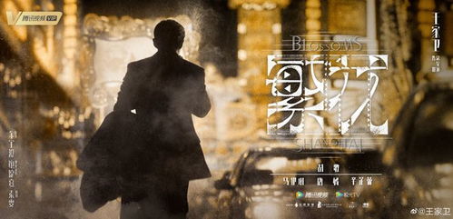 《繁花之东北爱情故事》短剧在线观看，夜北王，一部史诗般的传奇（76集深度解析）短剧在线观看，夜北简介短剧在线观看