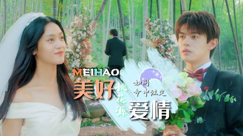 《离婚冷静期》短剧在线观看，闪婚幸运草的命中注定，82集的爱情传奇短剧在线观看，闪婚的幸福指数高吗短剧在线观看