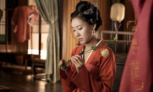 《攻略女帝：县令也疯狂》短剧在线观看，双生萌娃与飒爆妈咪的热血传奇（第95集）短剧在线观看，双生萌宝 全文免费阅读短剧在线观看