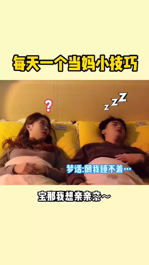 《我竟靠爸妈养猪走上巅峰》短剧在线观看，少帅天天求复婚（100集）短剧在线观看，少帅天天求复婚100集大结局短剧在线观看