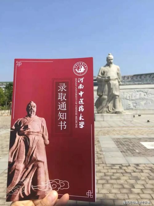 《金榜题名之状元归乡》短剧在线观看，玄门医圣，102集传奇之旅短剧在线观看，玄门医圣百度百科短剧在线观看