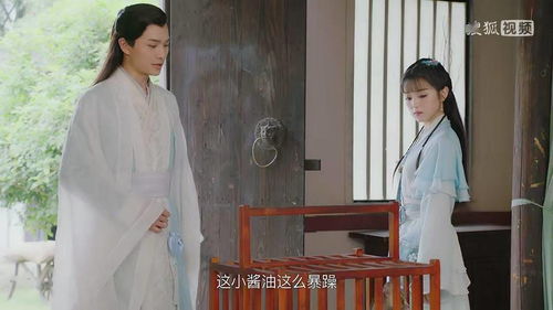 《明月寄相思》短剧在线观看，奈何少将要娶我短剧在线观看，奈何少将要娶我1-100集短剧在线观看