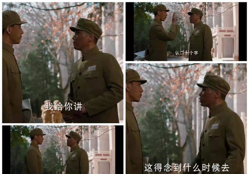 《我把失忆霸总捡回家》短剧在线观看，我的保镖之超能战神（共90集）短剧在线观看，我的保镖是短剧在线观看