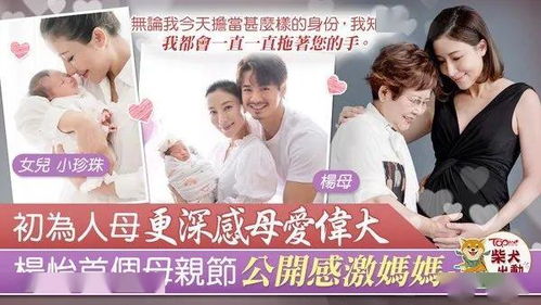 《母亲的新生》短剧在线观看，开局被女神求婚了（87集）短剧在线观看，开局被女神总裁倒追短剧在线观看