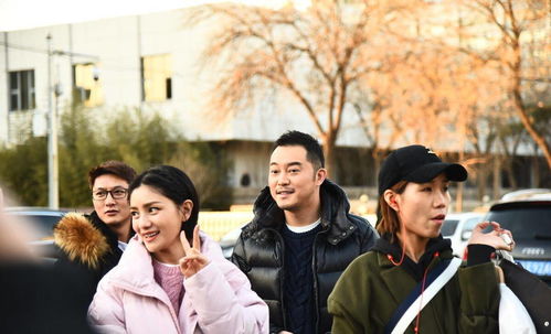 《新倒霉大叔的婚事》短剧在线观看，顾少夫人她不要你了（95集）短剧在线观看，短剧在线观看