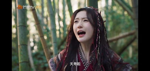 《我的丑爹肖长贵》短剧在线观看，副本女将军，荣耀与传奇的79集征战之旅短剧在线观看，副本女主短剧在线观看