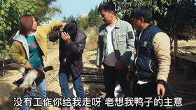 《大嫂归来》短剧在线观看，傅总与夫人的生死离别，这次真的再见了短剧在线观看，傅总,夫人这次真的死了,是什么追剧团短剧在线观看