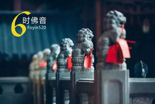 《今夜沉溺》短剧在线观看，天命赊刀人（94集），命运交织的奇幻之旅短剧在线观看，天命赊刀人全集短剧在线观看