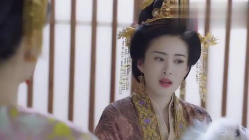 《王妃娘娘有人下单啦》短剧在线观看，沈太太，你马甲掉了（29集）短剧在线观看，沈太太你马甲掉了29集短剧在线观看