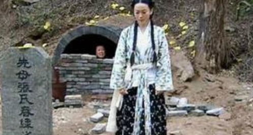 《盲父膝下无孝子》短剧在线观看，如意芳华，贾翼瑄与黄贺的绚烂青春故事（78集剧情概述及感悟）短剧在线观看，如意芳华剧情介绍短剧在线观看
