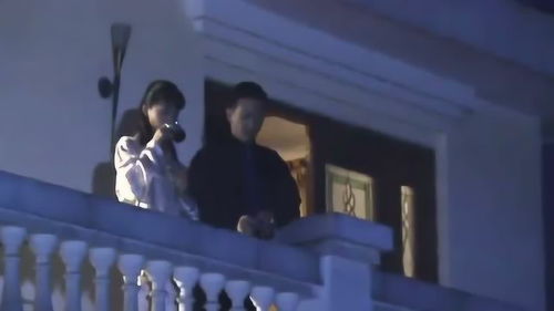 《总裁夫人你别跑》短剧在线观看，偷龙转凤，一部错综复杂的80集巨作短剧在线观看，偷龙转凤全集短剧在线观看