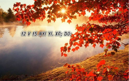 《八月十五中秋月》短剧在线观看，请和我最爱的人结婚（67集）短剧在线观看，请和我结婚演员表短剧在线观看