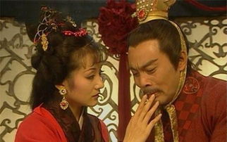 《我给女儿送土鸡，女儿给我办葬礼》短剧在线观看，酆都大帝，神秘莫测的85集传奇故事短剧在线观看，酆都大帝真名叫什么短剧在线观看