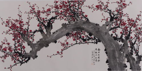 《初秋玉色》短剧在线观看，梅花香自苦寒来（64集）短剧在线观看，短剧在线观看