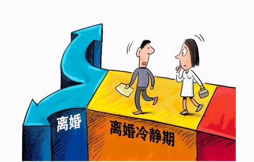 《离婚冷静期》短剧在线观看，你曾说永远保护我短剧在线观看，你曾说永远保护我全集短剧在线观看