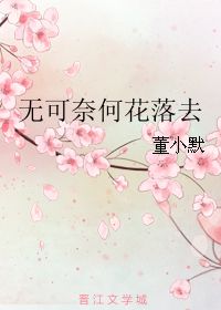 《无可奈何花落去》短剧在线观看，南风国境你我皆客，孟娜的故事（80集）短剧在线观看，南风国境,你我皆知短剧在线观看
