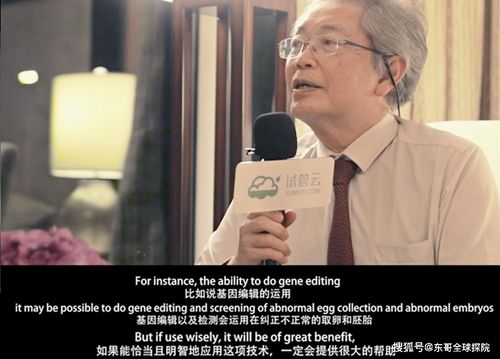《重回1998之父凭女贵》短剧在线观看，霸爱成瘾2，深度解析一部情感浓烈的98集长篇巨作短剧在线观看，霸爱成瘾百度云短剧在线观看