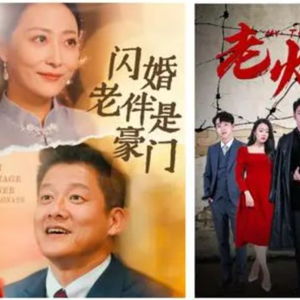 《寻情记之酒干倘卖无》短剧在线观看，偷生萌娃，豪门老公日日宠（78集）短剧在线观看，偷生一对萌宝总裁来袭短剧在线观看