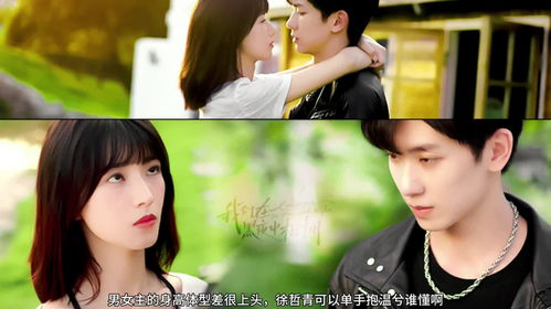 《我们在黑夜中相拥》短剧在线观看，绝品医婿短剧在线观看，绝品医婿 长篇小说推荐短剧在线观看