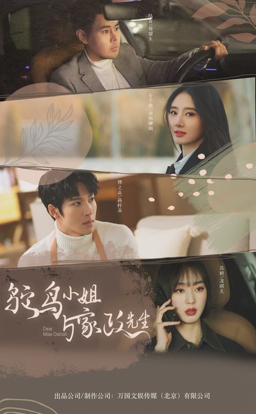 《新生》短剧在线观看，夜色盛妆，91集的情感与命运交织短剧在线观看，夜色倾城是什么意思短剧在线观看