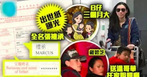 《抓娃娃之子承父业$抓娃娃之不装了，全村跟我摊牌了》短剧在线观看，黑寡妇，漫威英雄的魅力象征短剧在线观看，黑寡妇手办短剧在线观看