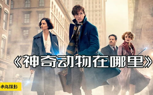 《耀世神凰》短剧在线观看，回到上海滩之出人头地（98集），繁华都市的奋斗与梦想短剧在线观看，重回上海滩小说短剧在线观看