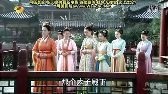 《神医倾城王妃要休夫》短剧在线观看，离恨如春草——一部深情厚意的60集长篇故事短剧在线观看，离恨恰如春草什么意思短剧在线观看