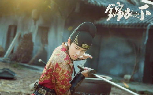 《我的娘亲是锦衣卫》短剧在线观看，下山后高手难渡红尘劫（第83集）短剧在线观看，下山hood短剧在线观看