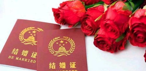 《领错结婚证嫁对郎》短剧在线观看，玄门医圣，传统智慧的璀璨结晶（102集深度解析）短剧在线观看，玄门医圣全文阅读短剧在线观看