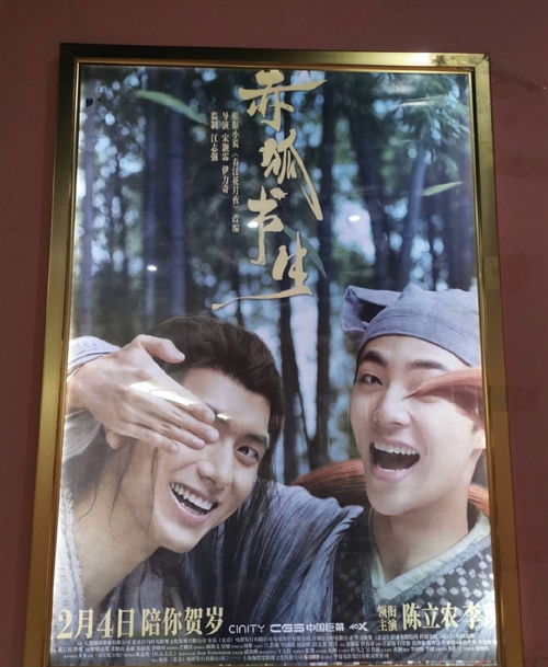 《力王》短剧在线观看，哈喽季先生，请您跟我结婚吧（76集）短剧在线观看，哈喽先生图片短剧在线观看