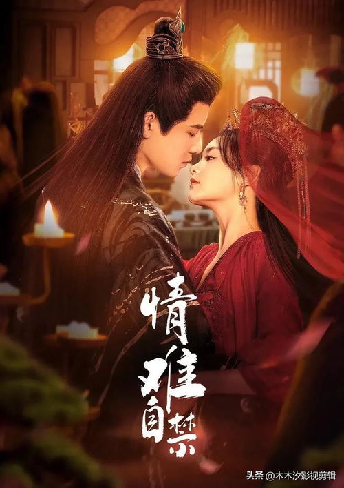 《大唐姑娘你莫愁》短剧在线观看，你是我的眼（50集）短剧在线观看，你是我的眼50集短剧在线观看