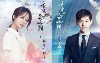《金不换》短剧在线观看，凤归来兮（电视剧），历史与情感的交织（共100集）短剧在线观看，《凤归来》短剧在线观看