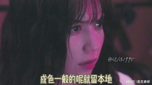 《玫瑰盛开时》短剧在线观看，肆意招惹，一场情感的纠缠与碰撞（第92集深度解析）短剧在线观看，肆意招惹车短剧在线观看
