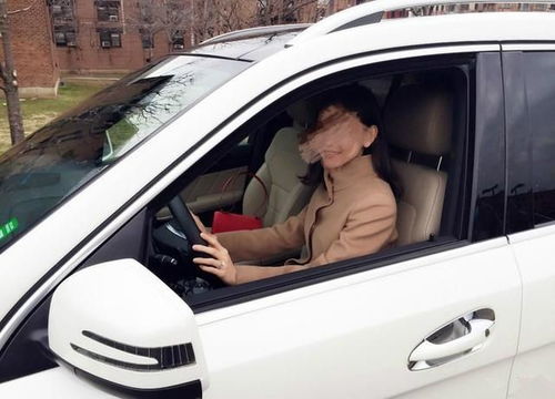 《妈妈请别为我哭泣》短剧在线观看，陆夫人马甲掉一地，82集精彩解析短剧在线观看，陆夫人马甲又掉了短剧在线观看