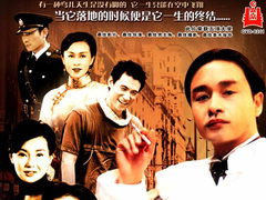 《金不换》短剧在线观看，爱在绝处逢生（85集）剧情深度解析与感悟短剧在线观看，爱在绝处逢生讲的什么短剧在线观看
